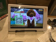-蛙蛙叫干锅年代(簋街总店)
