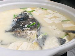 拓林湖鱼头炖豆腐-蔡府家宴(699店)