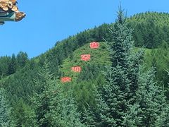 -塞罕坝国家级自然保护区