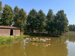 -宁波杭州湾国家湿地公园