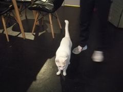 -Doors独立剧情密室(东门分店)