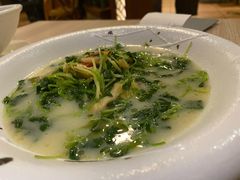 上汤萝卜苗-石头咕(葵蓬店)