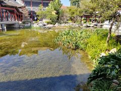 -顺峰山公园