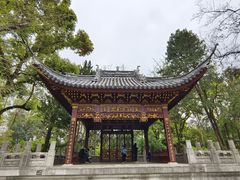 -汇龙潭