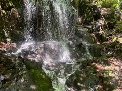 -本溪汤沟绿石谷森林公园