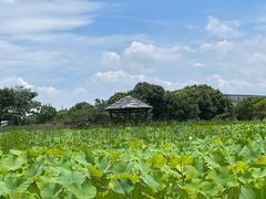 -嘉北郊野公园