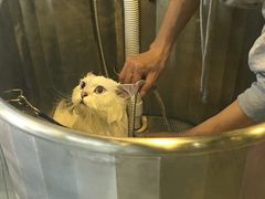 -PETKIT小佩宠物(昭化店)