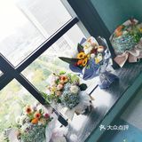 在太原找到的超好看花花