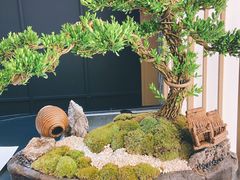 景观位-Sushi Hanzo半藏(天环广场店)