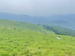 -灵山