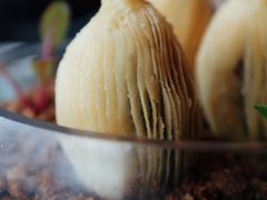 羊肚菌鲍鱼酥-广州柏悦酒店·悦景轩·粤菜餐厅