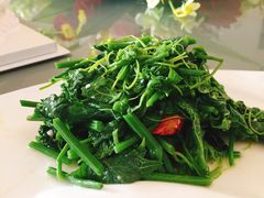 炝香龙须菜-小白鲨工夫潮膳(曲江店)