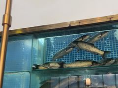 -顺峰顺水顺德菜(龙华店)