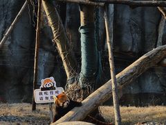 -武汉动物园