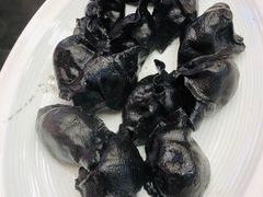 必点墨鱼水饺-必点海鲜·鲅鱼水饺(鞍山西道店)