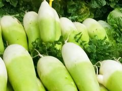 -五里多农博广场