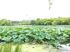 -长春市南湖公园