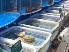 -七鲜超市(通州ONE店)