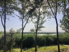 -绿堤公园