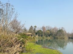 -桤木河湿地公园