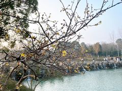 -南京珍珠泉风景区