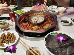-枇杷园食为鲜火锅(南山店)