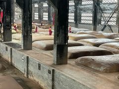 -泸州老窖景区
