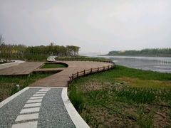 -天津东丽湖风景区