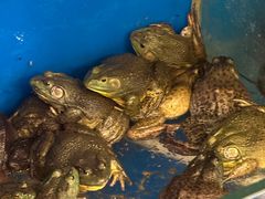 -秦记香辣蟹(松榆里店)