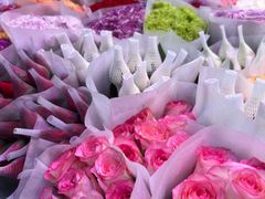 -朝来春花卉市场