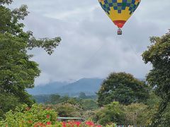 -中国科学院西双版纳热带植物园