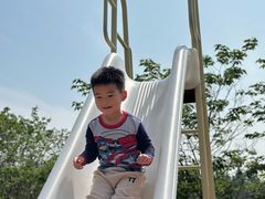 -长田漾湿地公园