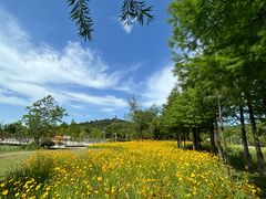 -苏州上方山国家森林公园