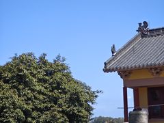 -博鳌禅寺