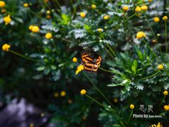 -唐崖土司城遗址