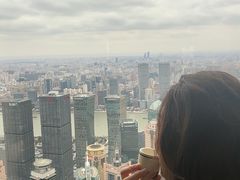 -上海柏悦酒店