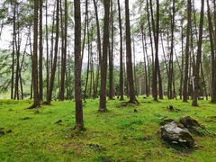 -硗碛藏寨·神木垒景区