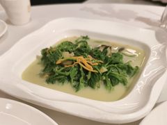 -陶缘一号·四季缘·老字号顺德菜·户外婚礼家宴(西滘店)