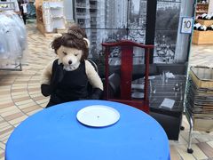 -济州岛泰迪熊博物馆