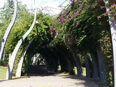 -布里斯班南岸公园