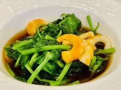 捞汁鲜虾豌豆尖-功德林素菜饭庄(前门店)