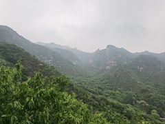 -大岭沟猕猴桃谷风景区