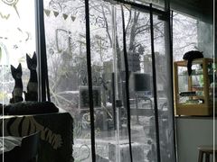 -平行世界·猫咖(首经贸店)