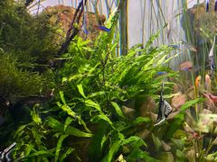 -华声天桥民俗文化园