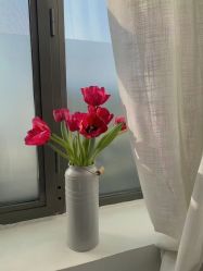 -安那般那皮肤年轻化ANAPANA