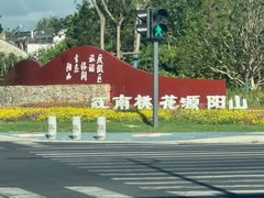 -老袁家蜜桃农场·阳山水蜜桃