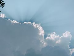 -重庆西南医院(西南院区)