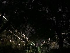 -梅峰山地公园