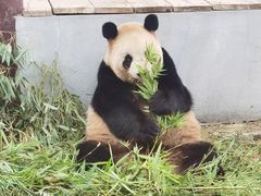 -杭州野生动物世界