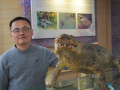 -中国扬子鳄村
